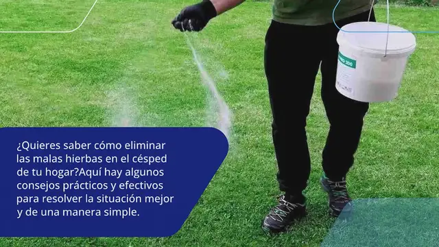 Video thumbnail for Deshazte de las malas hierbas del césped en segundos: nunca ha sido tan fácil