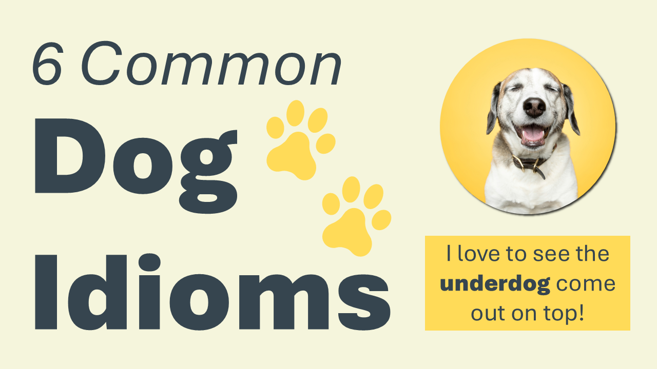 Video thumbnail for DogDog People! | Explore Common English Phrases and Idioms Inspired by Dogs