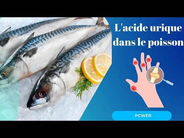 Video thumbnail for L'acide urique dans le poisson-video blog