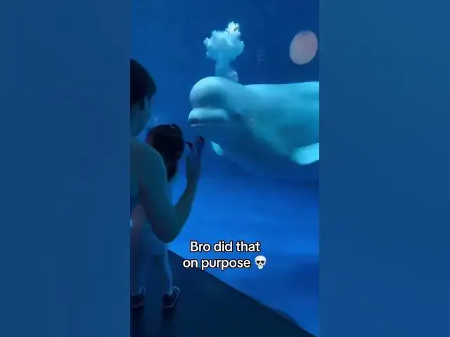 Video thumbnail for @ChannelChatter-k9j