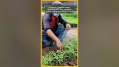 Video thumbnail for 🏘️ 🧑‍🌾 Quels sont les étapes à suivre pour créer un jardin de rêve ?  🎋 💐