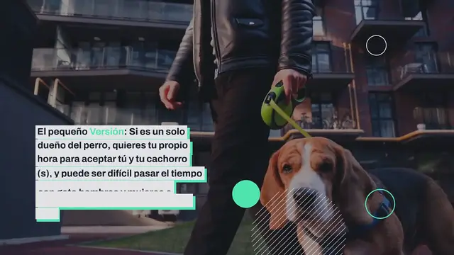 'Video thumbnail for Cavar: Su perro Entusiastas Citas Aplicación Da un especial Mango para solteros Persiguiendo A largo plazo Estilo de vida Ser compatible'