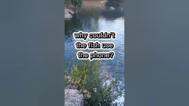 Video thumbnail for Fishing Joke 2 #jokes #fishingjokes #humor