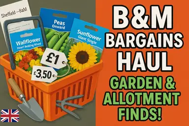 'Video thumbnail for ๐๐ท What Bargains Did We Buy from B&Mโs? | Garden & Allotment Finds!'