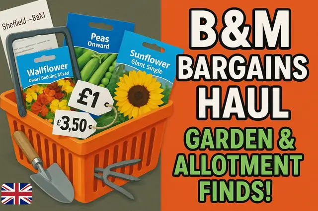 'Video thumbnail for 🛒💷 What Bargains Did We Buy from B&M’s? | Garden & Allotment Finds!'