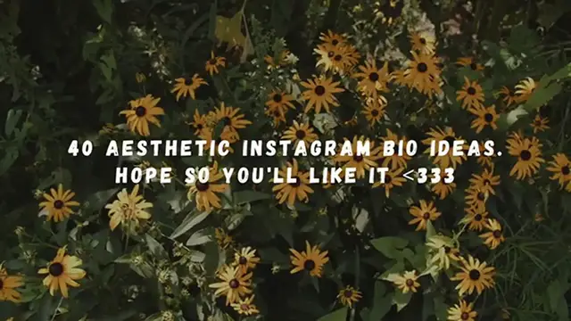 Video thumbnail for 40 aesthetic instagram bio ideas