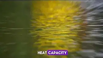 Video thumbnail for "Dive into Discovery: 10 Fascinating Water Fun Facts | Unveiling Aquatic Wonders"