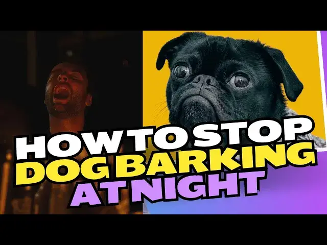 Video thumbnail for How To Stop Dog Barking At Night