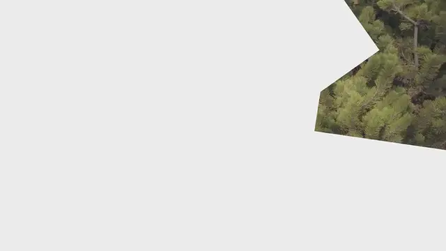 Video thumbnail for Labneh balls – Pickled cream cheese balls