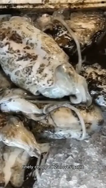 Video thumbnail for oyster stew recipe