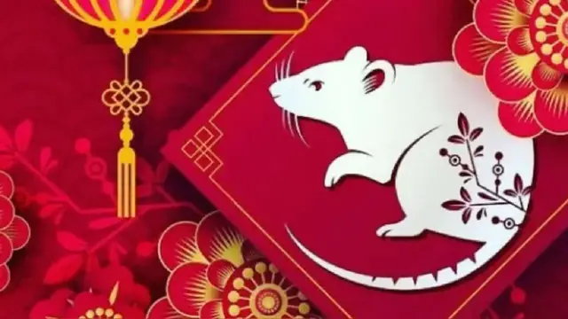 Video thumbnail for Rat Lucky color 2024: video blog