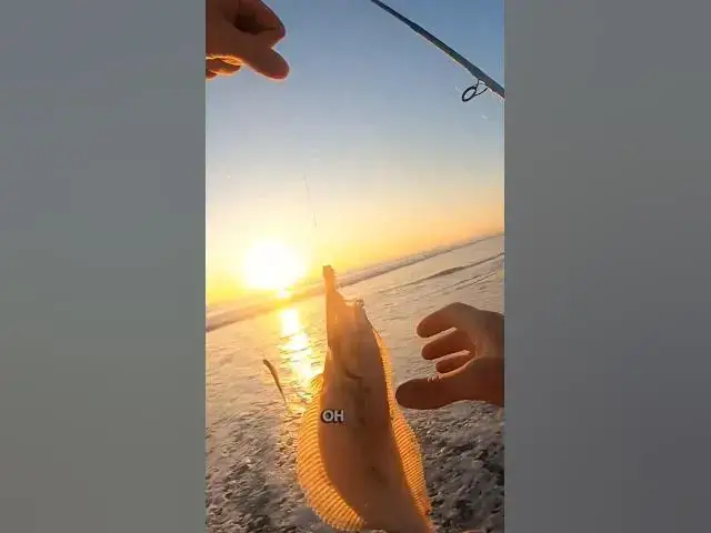 Video thumbnail for Small Catch but BIG VIBES! #Shorefishing