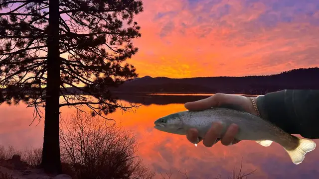 Video thumbnail for Winter Trout Fishing a Beautiful Alpine Lake | Big Bear Lake