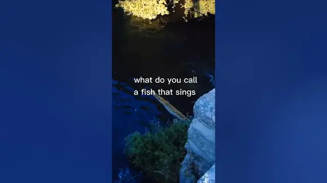 Video thumbnail for Fishing Joke 54 #jokes #fishingjokes #humor #joke