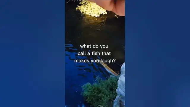 Video thumbnail for Fishing Joke 53 #jokes #fishingjokes #humor #joke