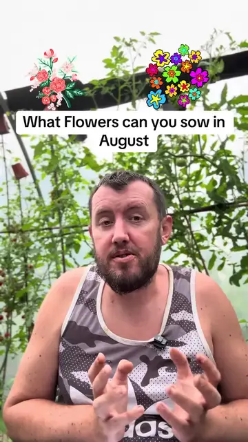 'Video thumbnail for 🌼 What flowers can you sow in August? 🌼'