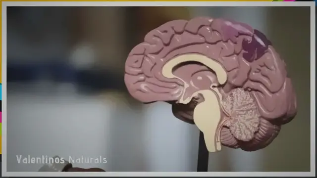 'Video thumbnail for Nootropics That Cross The Blood Brain Barrier'