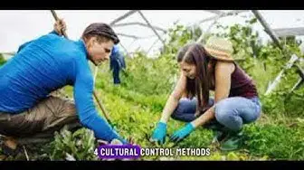 Video thumbnail for Unearthing the Truth: 10 Surprising Fun Facts About Weeding | Discovering the Secrets of Gardens