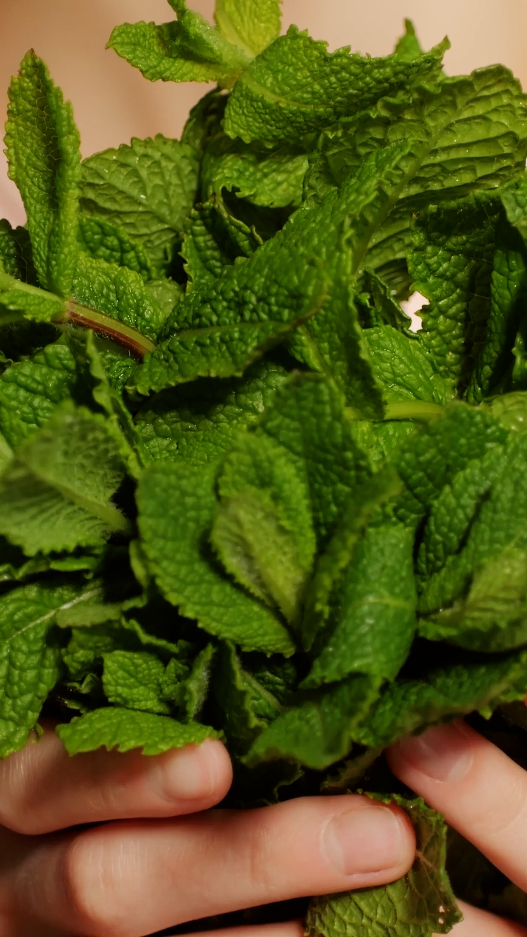 Video thumbnail for Smells Cats Absolutely Hate That You Should Avoid