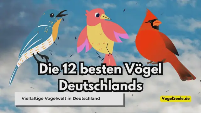 Video thumbnail for Die 12 besten Vögel Deutschlands: Ein umfassender Leitfaden