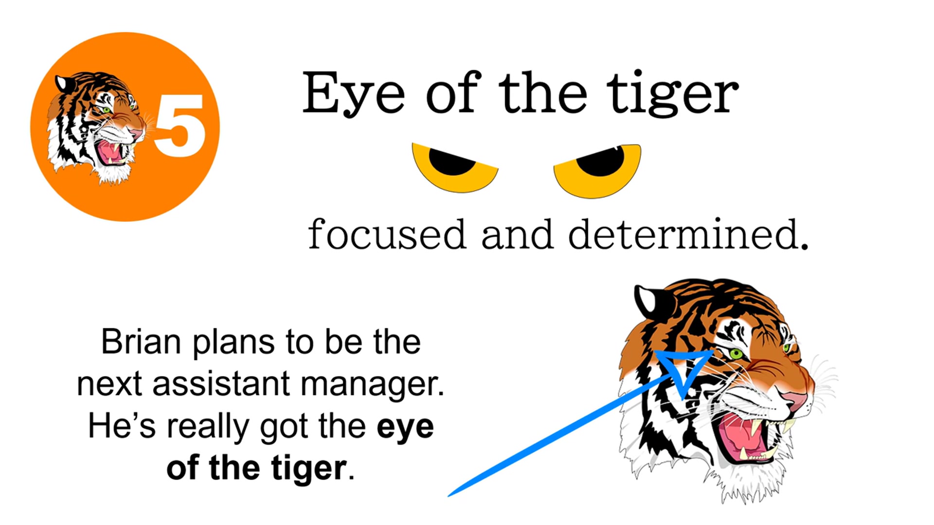 Video thumbnail for “Eye of the Tiger” | Native Idiom Meaning