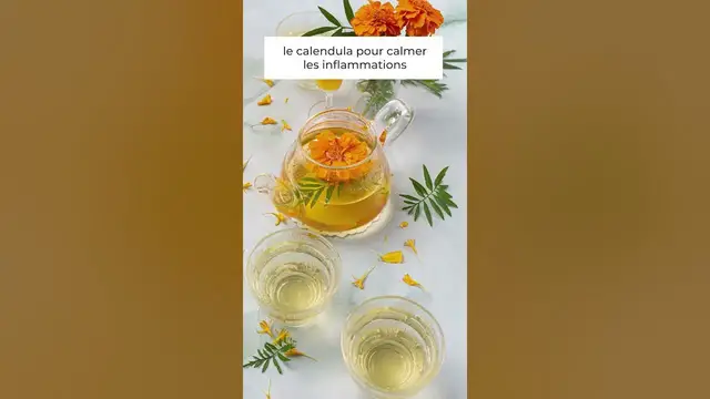 Video thumbnail for 🌾10 plantes médicinales à planter dans son jardin 🌿 🩺