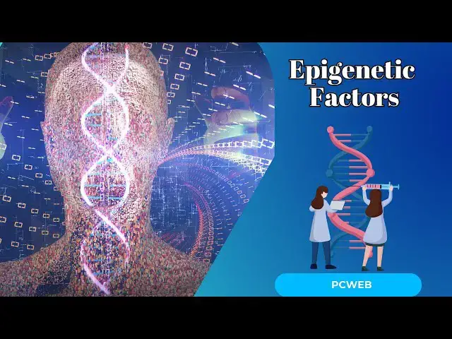 Video thumbnail for Epigenetic Factors: How Your Environment Can Change Your DNA Expression