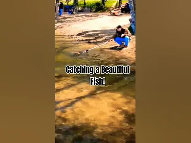 Video thumbnail for Hooking Bright Yellow Fish! 🎣 Lightning Has stuck!