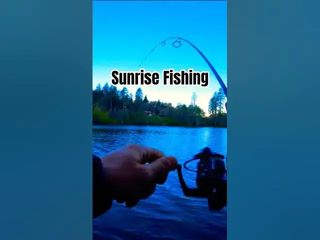 'Video thumbnail for 🎣  Lake Fishing Leads to Big Catches!'
