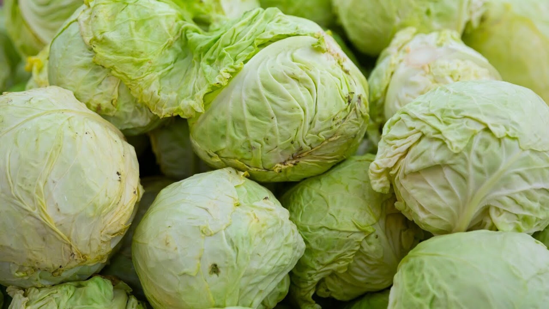 Video thumbnail for Mistakes Everyone Makes When Cooking Cabbage