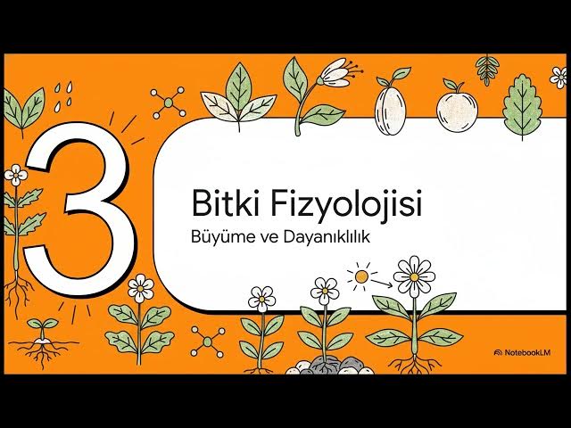 Video thumbnail for TRM208U Peyzaj Çevre ve Tarım 2023-2024 Final Soruları