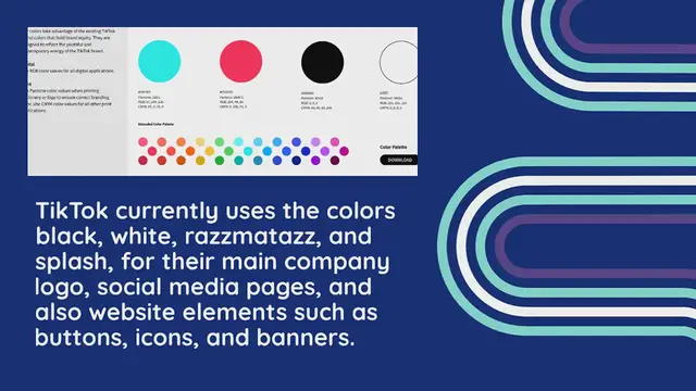Video thumbnail for TikTok Color Palette | HEX, RGB & HSL