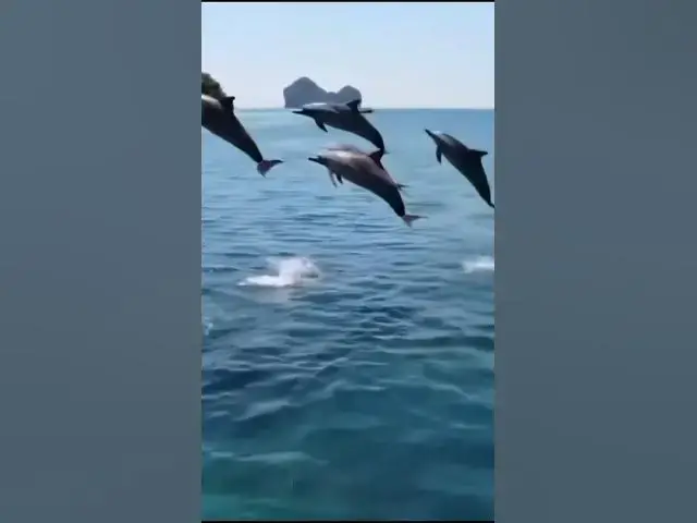 Video thumbnail for #butifullplace#foryou#Thailand #viralvideo#ytshorts#ytstudio #entertainmentshorts#travelThailand