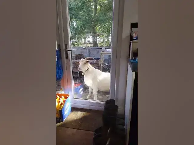 Video thumbnail for 5 January 2025