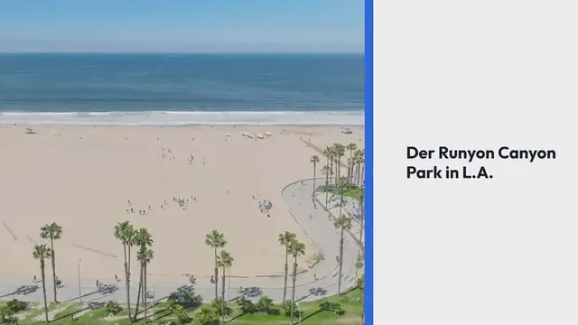 Video thumbnail for Der Runyon Canyon Park in L.A. Promis treffen war nie leichter