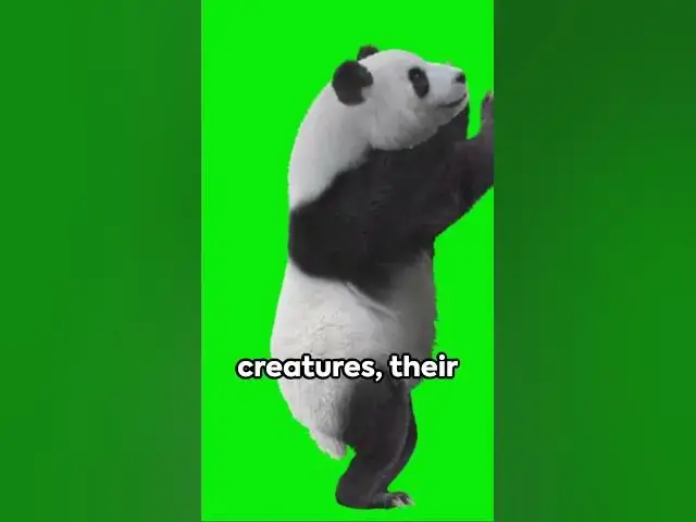 Video thumbnail for Panda Paradise  A Journey to China's Sanctuary