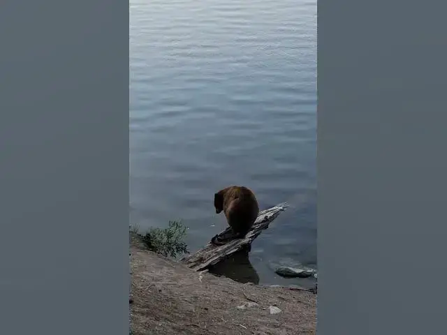 Video thumbnail for Mammoth Lakes 🎣 🏞