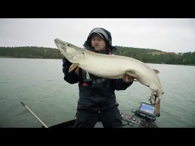 'Video thumbnail for Monster Pike, Muskie, and Smallmouth on Georgian Bay | Fish'n Canada'
