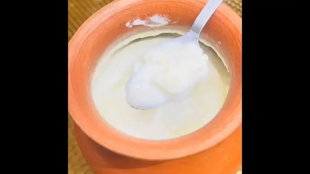 'Video thumbnail for गर्मियों मे दही ऐसे जमाए तो खट्टा भी नहीं होगा | How to make thick curd #youtubeshorts #shorts'