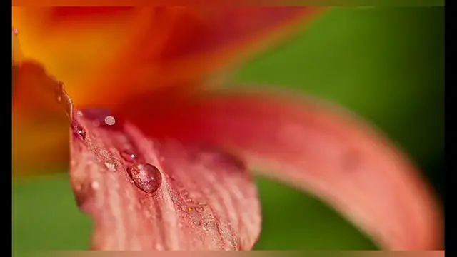 Video thumbnail for Apologize message to your love • I am truly sorry baby song