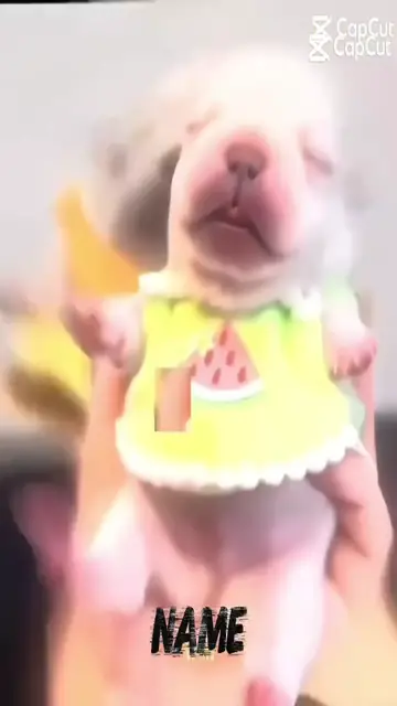 Video thumbnail for December 4, 2025