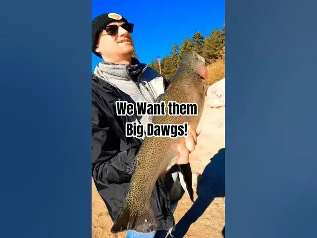 Video thumbnail for That's what we're Talking about! #bigboi