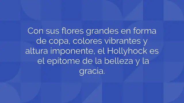 Video thumbnail for La malvarrosa: cultivar y plantar la majestuosa reina de los jardines