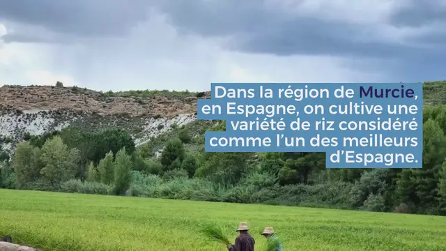 Video thumbnail for Premium_Paella_Rice_Bomba_Calasparra_AOP