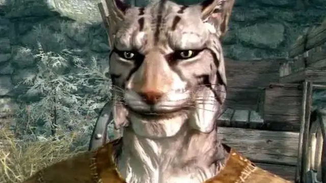 Video thumbnail for Weird Mysteries That Never Made Sense In Skyrim