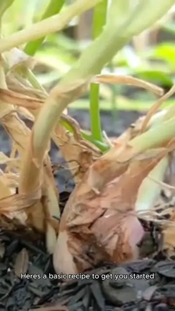 Video thumbnail for fire cider recipe