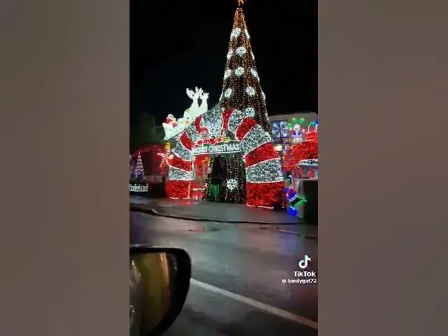 Video thumbnail for 23 December 2024