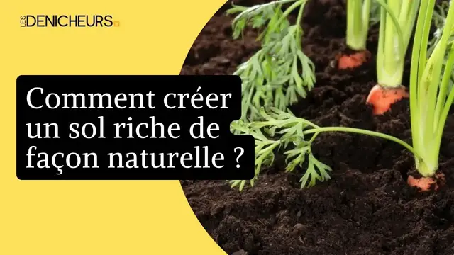 Video thumbnail for 🌻 Comment créer un sol riche de façon naturelle ?