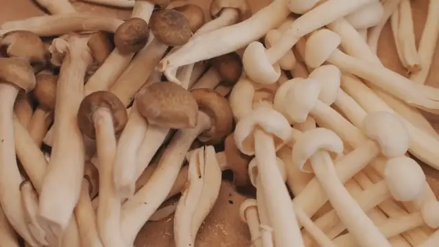 'Video thumbnail for Brussels Sprouts and Wild Mushrooms in Cream Sauce'