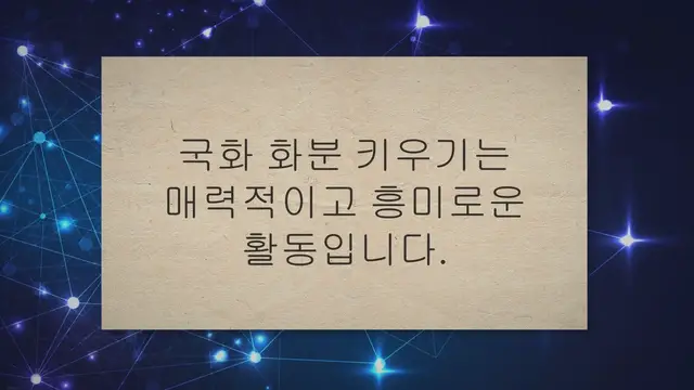 'Video thumbnail for 향기 가득한 국화 화분 키우기 16가지 팁과 가이드'